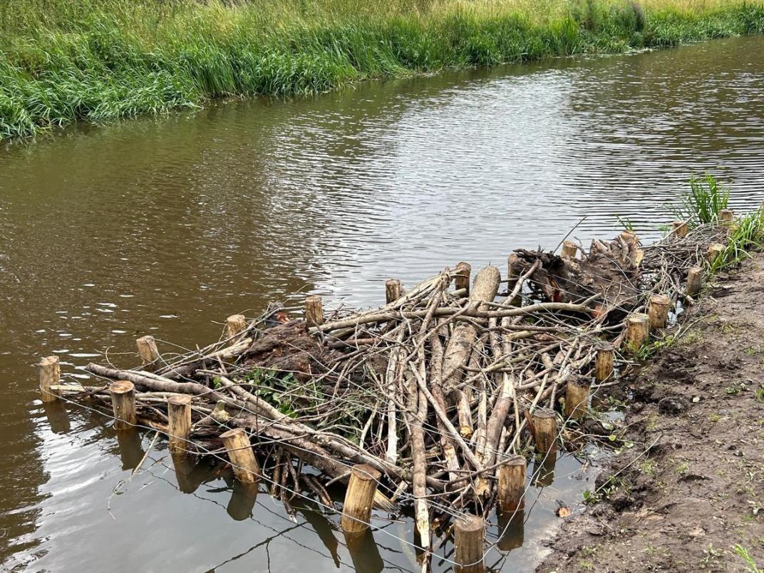 Foto van bouwen met natuur